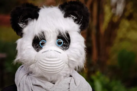 Unibet Kazino Atbalsts